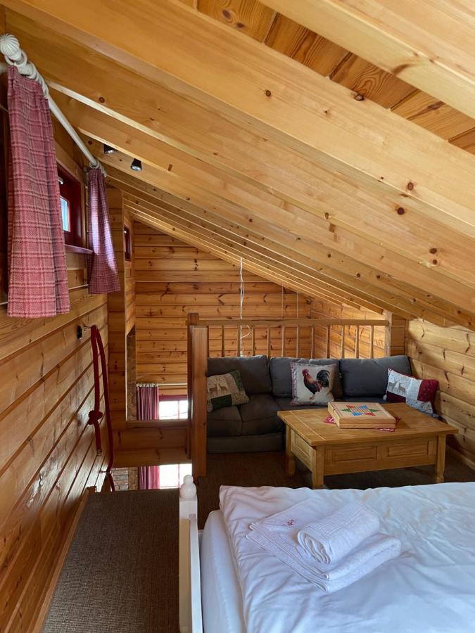 Blockhaus An Der Skiwiese Braunlage Εξωτερικό φωτογραφία
