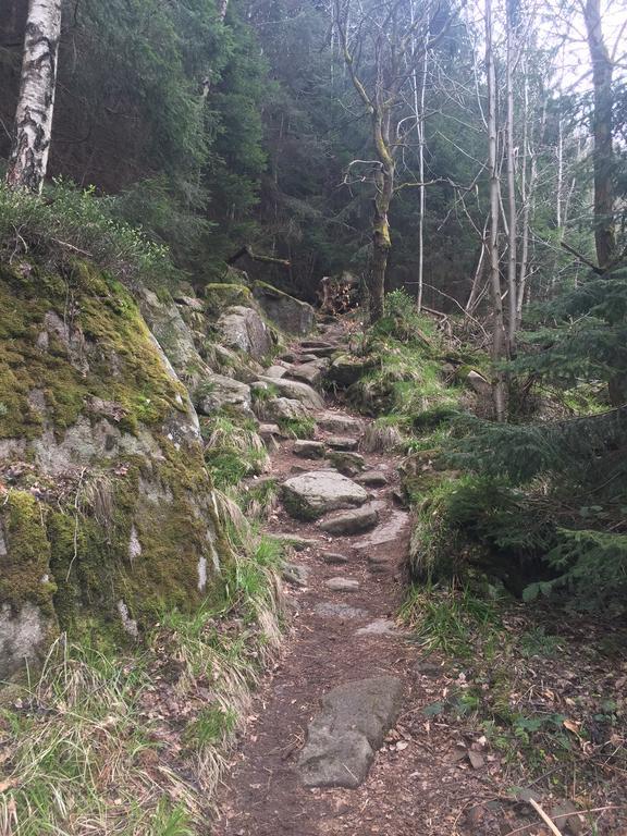 Blockhaus An Der Skiwiese Braunlage Εξωτερικό φωτογραφία
