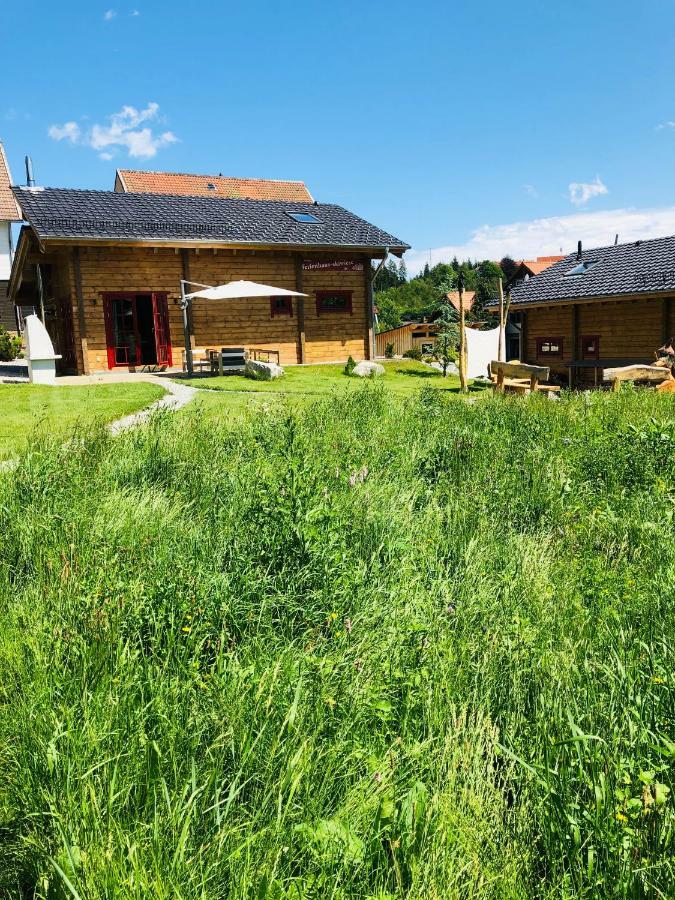 Blockhaus An Der Skiwiese Braunlage Εξωτερικό φωτογραφία